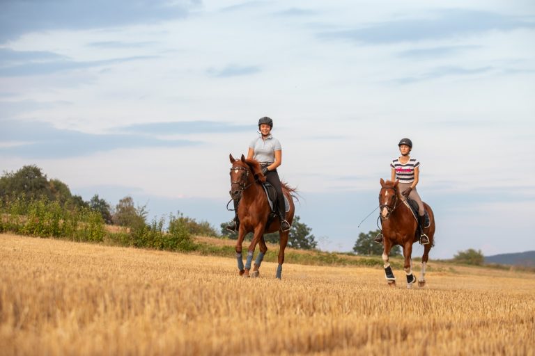Deuber Sattel – Sattelanprobe im Stoppelfeld, Freizeitreiten mit Pferd