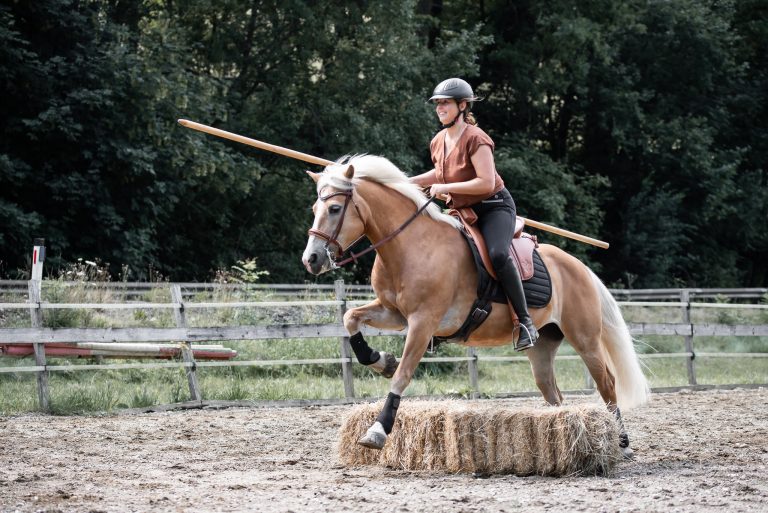 Deuber Sattel – Haflinger springt mit Garrocha über Strohballen, Freizeitreiten und Working Equitation